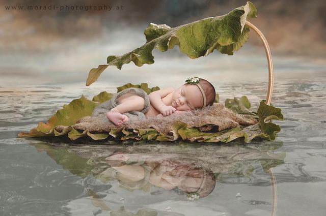Newborn · Composing – fotografiert von Ankica Moradi